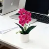 Flores Artificiales Phalaenopsis 5 Flores Artificiales en Maceta Bonsái Escena de Hogar y Oficina Decoración de Plantas Verdes Accesorios de Paisajismo