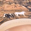Pintura Artística Clásica Famosa China Giclée Pintura en Rollo de Seda Pintura de Paisaje Chino Réplica Billete Regalo