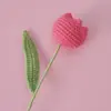 Celebridad de Internet Gordita Tulipán de Lana Flor Terminada Estudiante Deportivo Cafetería Deportiva Hombres Rectos Enviar Novia Amante Ramo