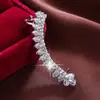 Brincos Longos de Clipe e Brincos com Design de Pena de Venda Quente Transfronteiriça, Ganchos de Orelha Estilosos e Elegantes para Mulheres, Venda Direta de Alta Qualidade de Fabricantes