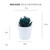 En existencia Simulación de dedos de bergamota azul carnosos Planta en maceta Adornos de escritorio Mini planta verde Bonsai TEMU Planta de simulación