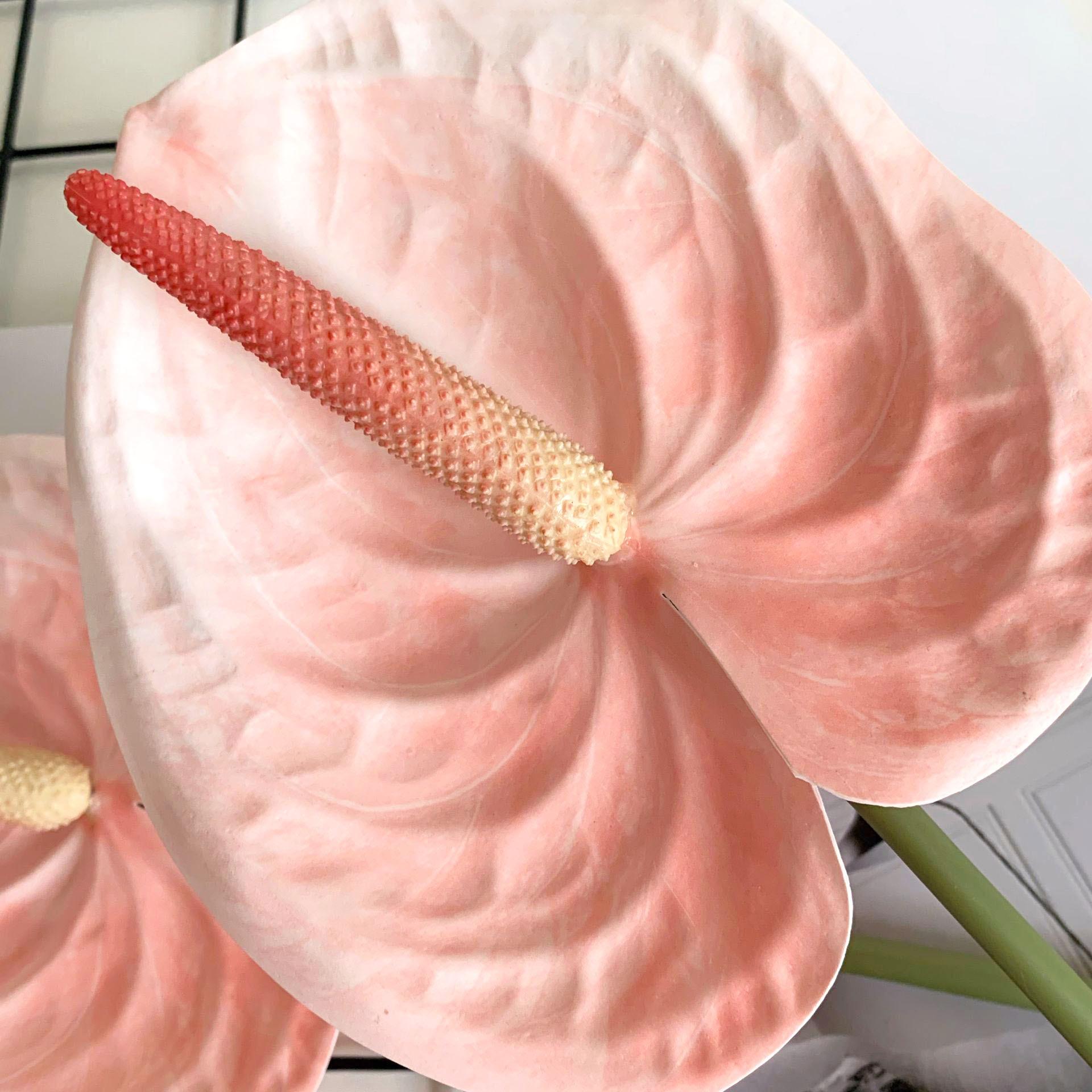 QQ图片20200809102908