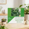 Solución Nutritiva Especial para Planta de Pez Dorado: Promueve la Floración y el Crecimiento de las Hojas, Fertilizante para Jardinería Casera y Macetas de Plantas Verdes, Mayoreo