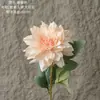 Pared de Flores de Rosa, Sueño Estrellado, Dalia de Tallo Único, Flor Artificial, Decoración del Hogar, Ramo, Flor Falsa, Estilo Ins, Transfronterizo
