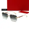 Nuevas Gafas de Sol Poligonales Casuales de Moda, Estilo Celebridad, Gafas de Sol Modernas y Geniales para Hombres y Mujeres 3148