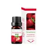 Comercio exterior transfronterizo aceite esencial de aromaterapia soluble en agua humidificador piedra expansora aceite esencial interior armario ambientador incienso fresco