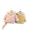 Abrigo con capucha cálido y grueso para niñas Abrigo con capucha cálido y grueso para niñas Otoño e invierno Nuevo bebé niña forrado con vellón Bebé