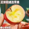 2025 Maçãs Feias Frescas de Zhaotong, Yunnan, Cidade de Zhaotong, Maçãs Feias Coração de Açúcar, Fruta Fuji Vermelha para Grávidas, na Época