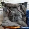 Fundas de Almohada de Animales Más Vendidas de Temu, Fundas de Almohada de Animales Lindas para Dormitorio, Hogar y Decoración de Sofá, Al por Mayor