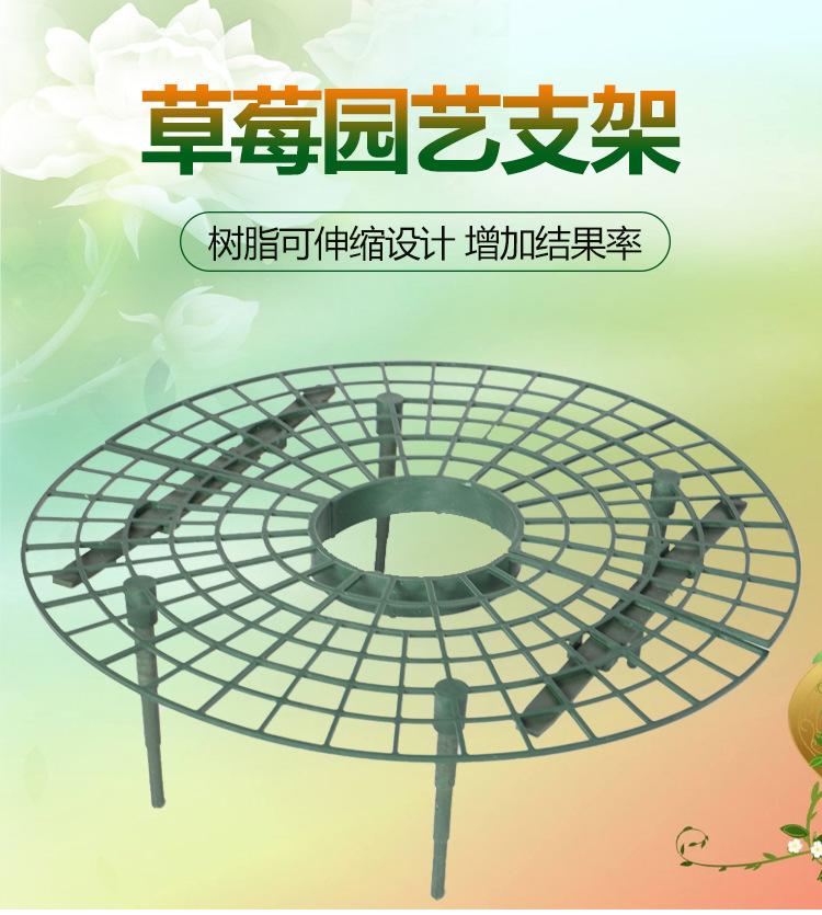 详情_01.jpg