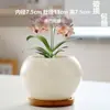 Maceta de Cerámica Morandi para Celebridades de Internet con Plato para el Hogar Lujo Ligero Maceta para Flor de Phalaenopsis Suculenta Una