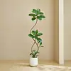 Plantas Verdes Artificiais, Árvore de Borracha Preta de Luxo de Alta Qualidade, Figueira Lira, Árvore Decorativa Artificial de Chão de Alta Qualidade para Sala de Estar Interna