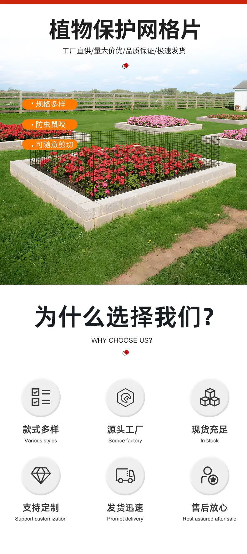 植物保护网片2_02.jpg