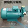 Máquina Cañón de Niebla Bomba de Alta Presión Bomba Vortex Miniatura 2.2 Kilovatios kW Modelo XQ1500 Bomba Aspersora Núcleo Integrado