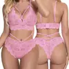 Fornecimento Transfronteiriço, Lingerie Erótica Mais Vendida na Europa e América, Conjunto de Renda Sexy de Duas Peças para Mulheres, Venda Direta do Fabricante