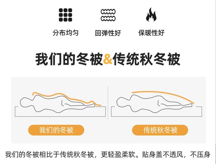 海豚湾 (10)