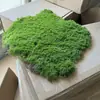 Cactos e Suculentas Artificiais Atacado para Paisagismo, Paisagens com Plantas Falsas Tropicais e Desérticas