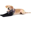 Nuevo producto para mascotas transfronterizo: rodillera transpirable tipo panal anti-mordeduras para perro, antideslizante, para la recuperación post-quirúrgica de articulaciones