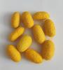 Secagem de Casulos de Seda de Amora Natural de Fazenda, Imersão de Casulo Inteiro para Extração de Seda 0,5kg Atacado
