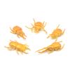 Modelo de insecto de simulación transfronterizo escarabajo sólido unicornio insecto hada animal pequeño modelo para niños juguetes al por mayor