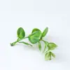 Plantas artificiales, follaje y helechos