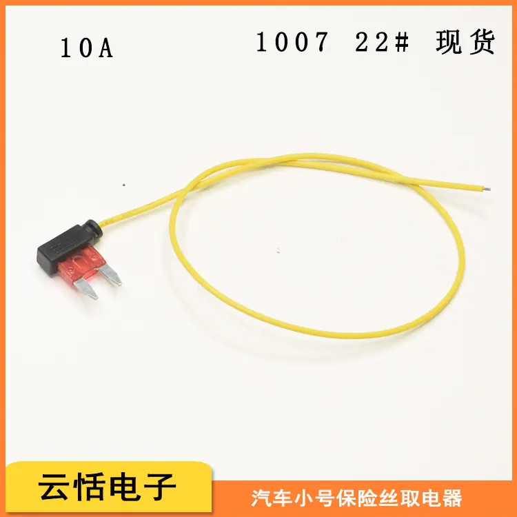 CDX8.jpg