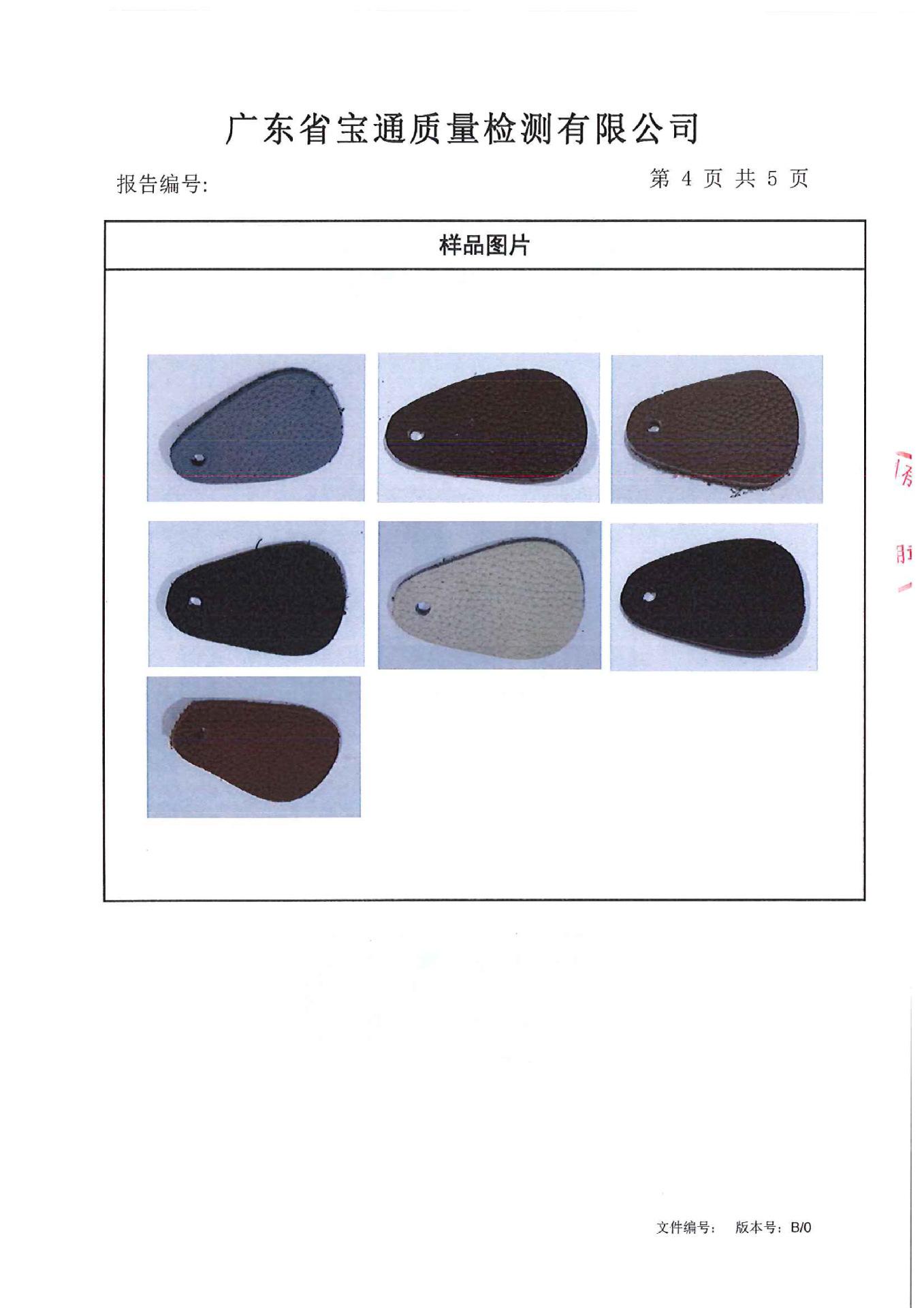 检测报告4