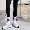 Pantalones de tiburón con calcetines Zhuji con calcetines Calcetines de longitud media para pantorrilla para mujer Ropa exterior de moda ins de celebridad de internet Calcetines de otoño Blanco