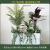 Caja de flores decoración flores y plantas arreglo floral producto terminado adorno de planta verde venta de restaurante oficina mampara canaleta de flores paisajismo biónico