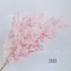 Buquê de flores secas de Yunnan de flor eterna fofa adereços de fotografia literária ins decoração material de flor DIY flor seca atacado