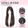 Peruca Completa para Mulheres, Peruca Longa Preta Lisa, Cabelo Realista, Natural Sem Costura para Uso Diário, Peruca Longa Lisa com Repartição Central