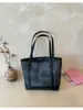 Bolso Tote Grande con Textura de Gran Capacidad para Viajes Diarios para Mujer 2026 Primavera Nuevo Estilo Bolso Tote de Hombro de Nicho de Gama Alta