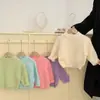 Suéter de Malha Grossa para Bebê Primavera e Outono Moda Coreana Menina Tricotado Elegante Camisa Base Top Roupas Cor Doce