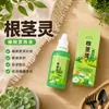 Solução Nutritiva Spirit Plant Rhizome Não Requer Diluição Fertilizante Especial para Clorofito e Suculentas Árvore da Fortuna Hidroponia