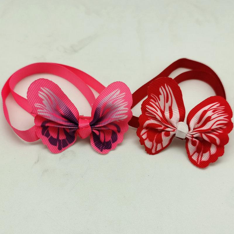 IMG_20230107_155558_副本