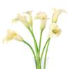 Simulación de gran lirio de cala de PU, decoración del hogar, decoración de interiores, fotografía, accesorios de flores falsas, adornos de flores de simulación
