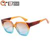 Nuevas Gafas de Sol Poligonales de Moda Transfronterizas Europeas y Americanas, Combinación de Colores Texturizada Gafas de Sol Degradadas de Moda Transfronteriza para Mujer 5675