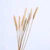 Decoraciones Navideñas, Piñas, Flores Secas, Adornos Creativos Hechos a Mano DIY de Material de Bosque, Decoraciones para Entorno de Jardín de Infancia
