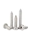 Tornillos Autorroscantes Cabeza Redonda Cruzada Acero Inoxidable 316 Estándar Nacional Cabeza Plana Extendida Cabeza Grande Diente de Madera Mm2M3M4M5M6