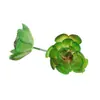 Mini Planta Suculenta Artificial Única Suculenta Falsa Flor Artificial Adorno de Micro Paisaje Oficina Planta Verde Real Artificial Alto