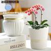 Vaso de Flores Cerâmico Estilo Ins Nórdico fosco simples para interior Phalaenopsis tulipa verde vaso grande para plantas verdes