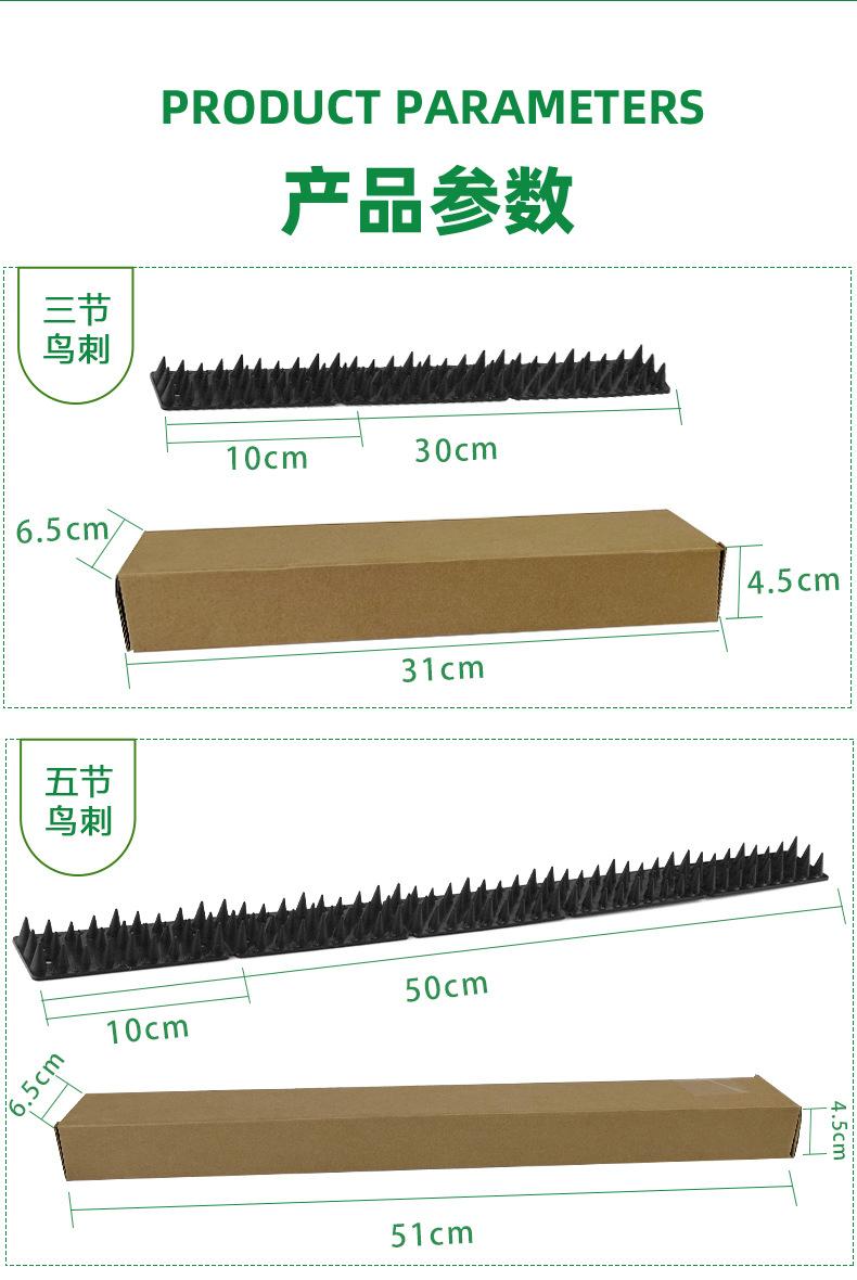 矮鸟刺详情_03