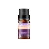 Vela de Aromaterapia de Planta Única Humidificador Difusor de Aceite Esencial Piedra Set Especial Caja Venta al por Mayor Fragancia Lavanda