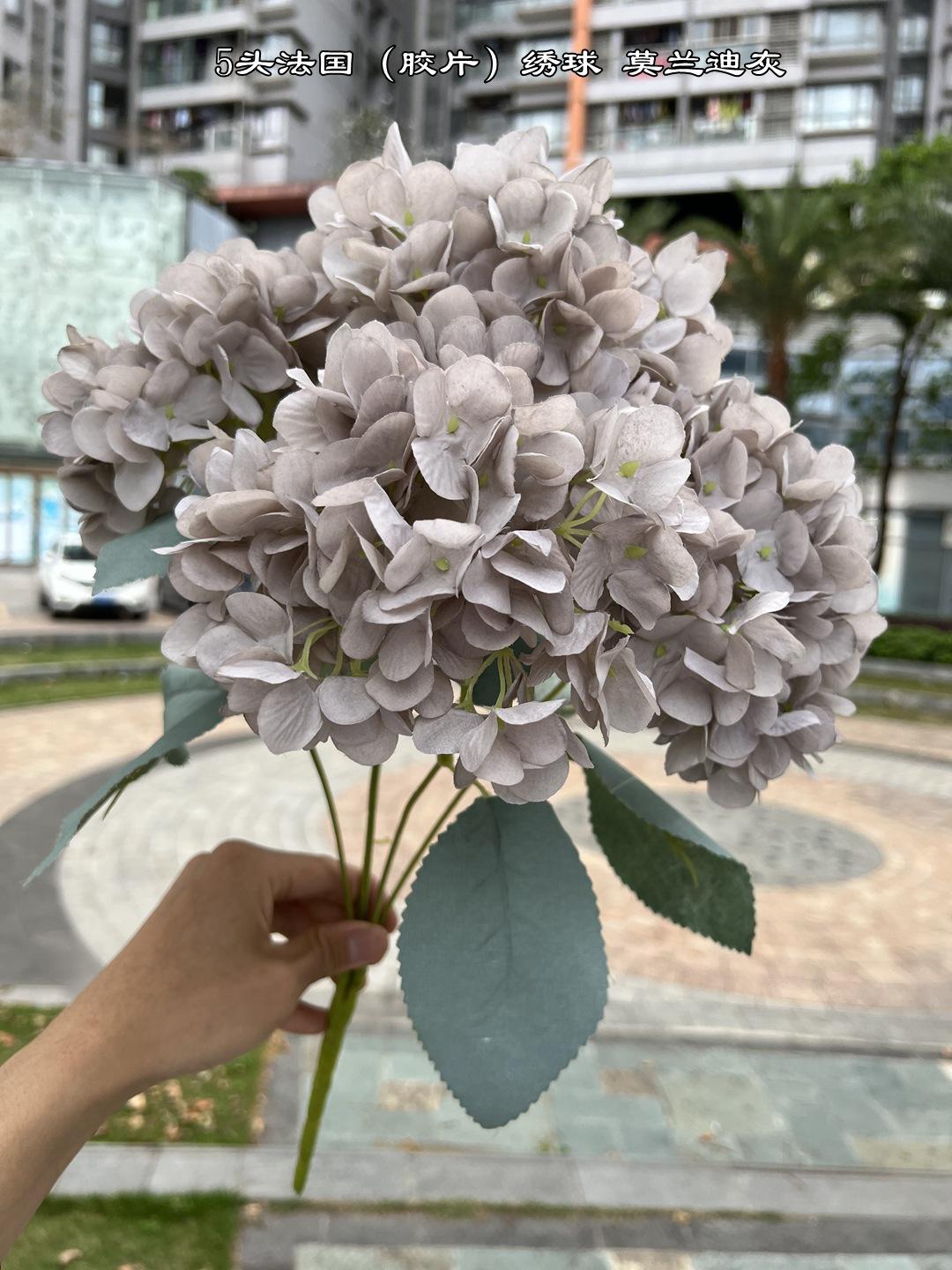 微信图片_20220319174626.jpg