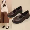 Zapatos de Salón Individuales para Mujer 2026 Primavera Nuevos Estilo Francés Suela Gruesa Mary Jane Estilo Británico Zapatos de Madre Boca Baja Correa Única Zapatos de Cuero