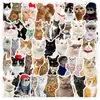 50/100 Adesivos Fofos de Gato de Desenho Animado para Computador, Caderno, Copo de Água, Adesivos à Prova d'Água para Cadernos e Diários