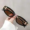 Gafas de Sol Ovaladas New Retro Transfronterizas Europeas y Americanas de Moda Anti-UV Fotografía Callejera Adelgazantes de Gama Alta Polarizadas
