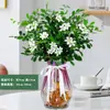 Jiuli Perfume Plantas em Vasos Flores e Plantas Verdes para Sala de Estar Interna Repelente de Mosquitos para Varanda Florescimento nas Quatro Estações Bom para Flores de Mesa