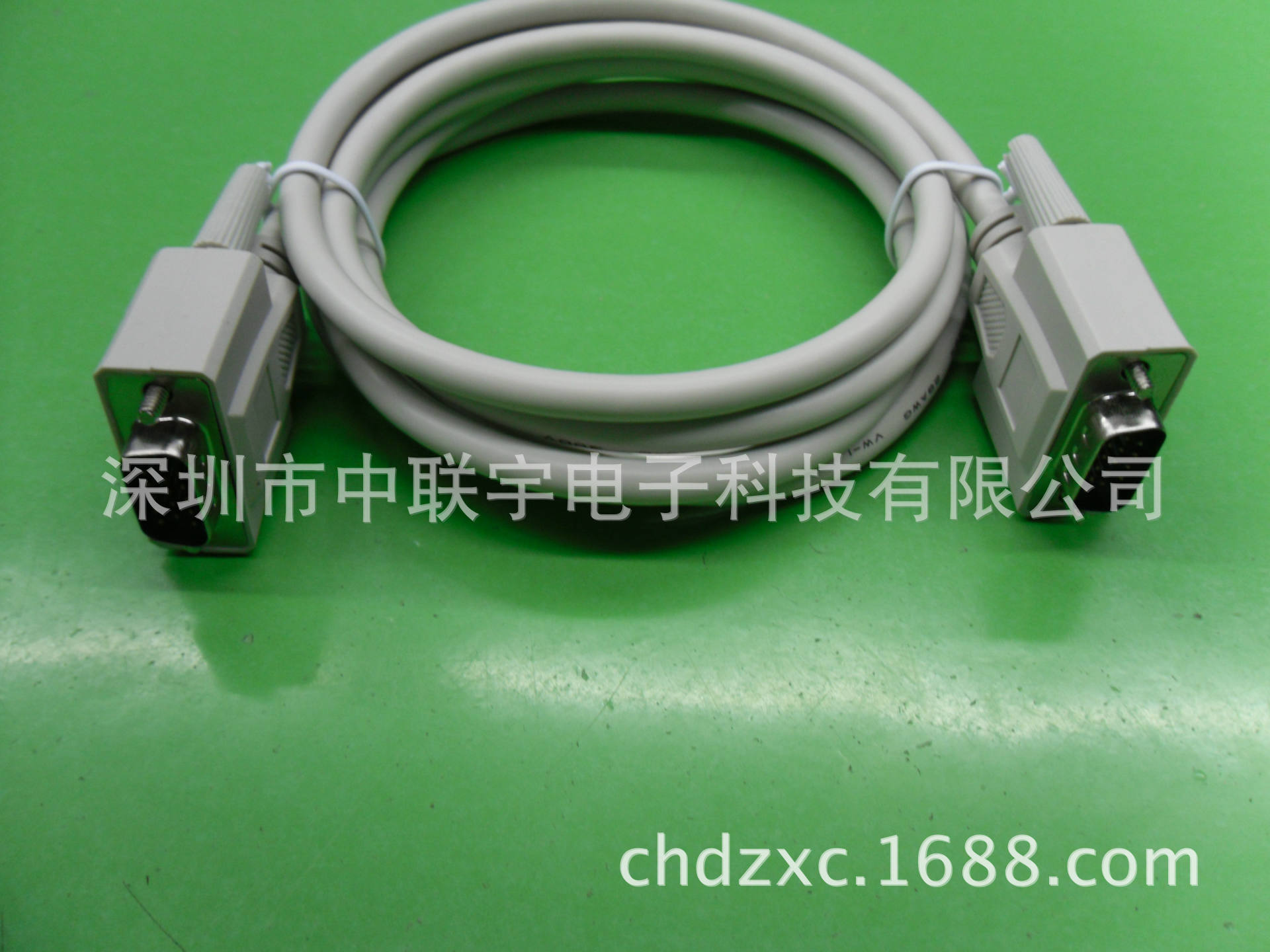 SDC10061