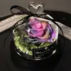 Amazon Dia dos Namorados Flor Preservada em Cúpula de Vidro Rosa Real Produto Acabado Presente Criativo para Aniversário de Meninas e Festival Qixi